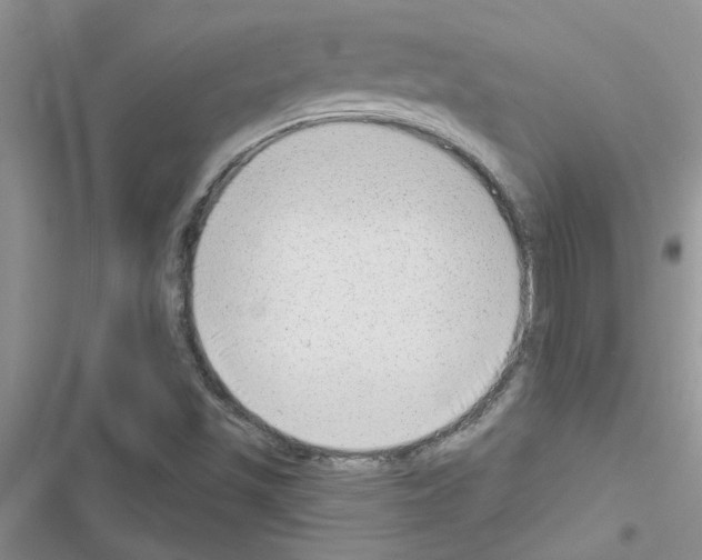 X0000116631501201001221350