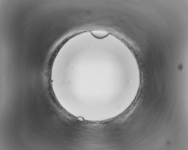 X0000116631502201001221350