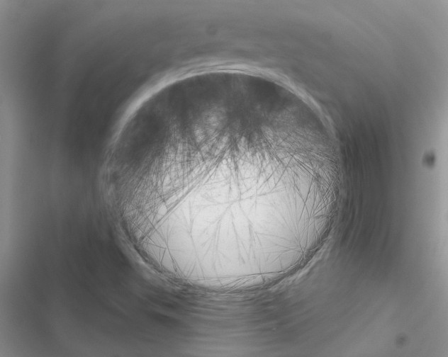 X0000116631503201001221350