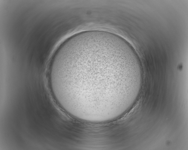 X0000116631507201001221350