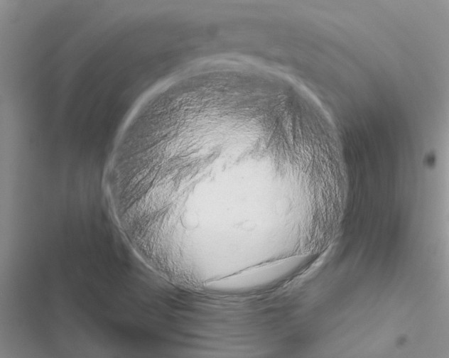 X0000116631509201001221350