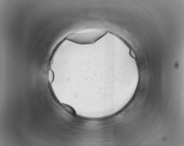 X0000116631510201001221350
