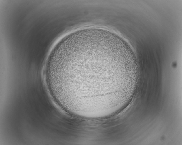 X0000116631511201001221350
