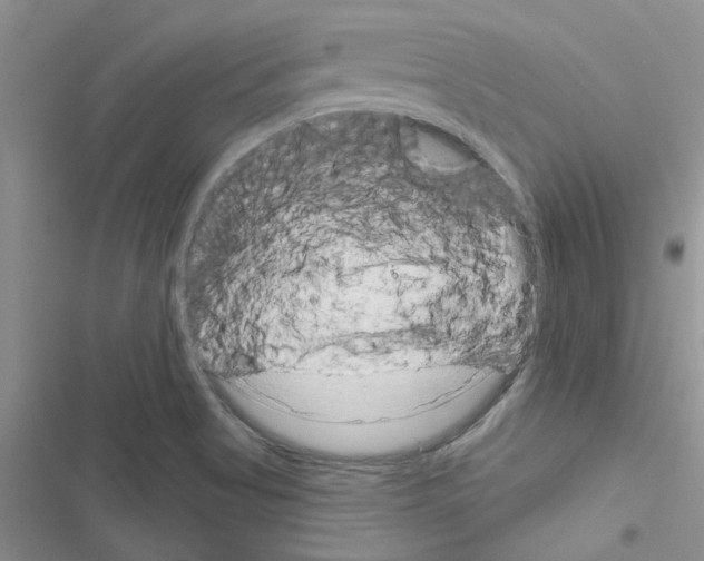 X0000116631513201001221350