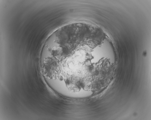 X0000116631521201001221350