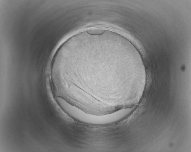 X0000116631522201001221350