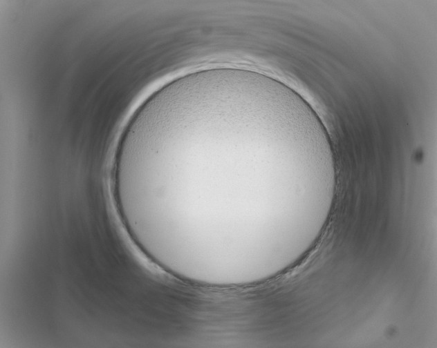 X0000116631523201001221350