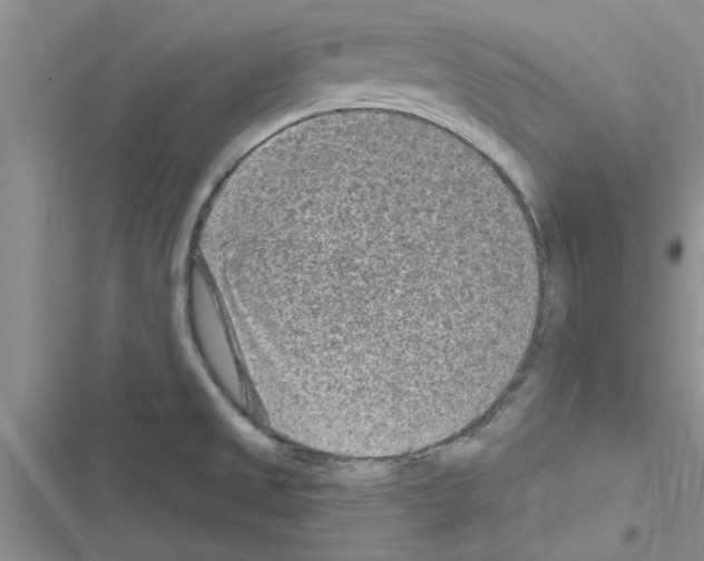 X0000116631525201001221350
