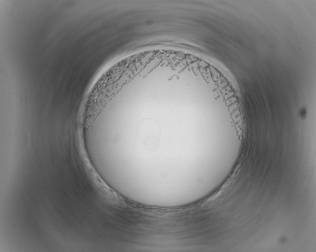 X0000116631530201001221350