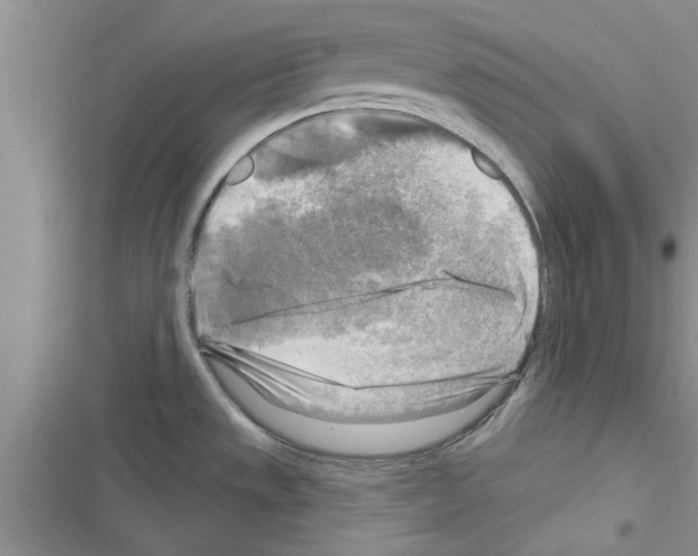 X0000116631533201001221350