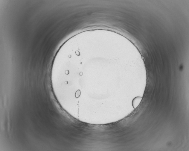 X0000116631534201001221350