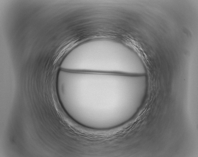 X0000116640001200912140954