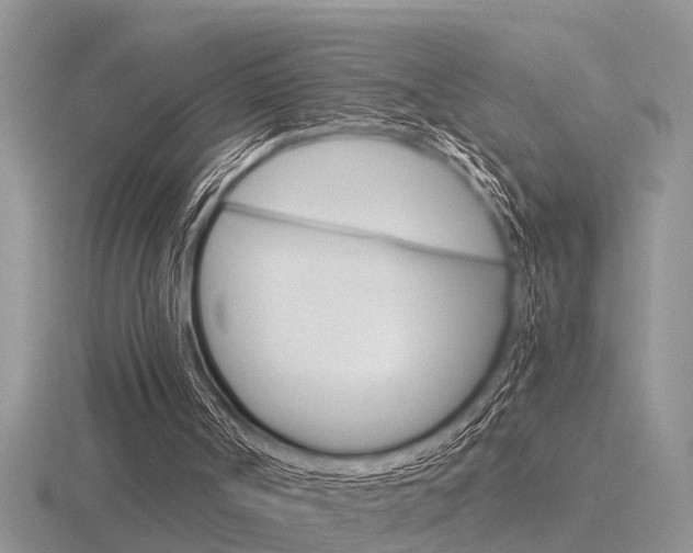 X0000116640002200912140954