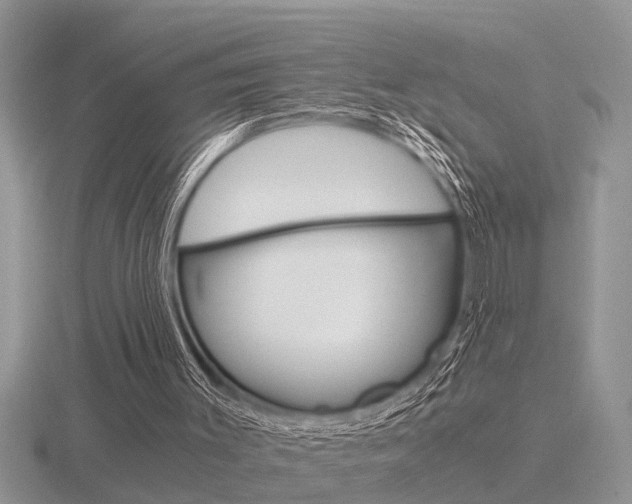 X0000116640003200912140954