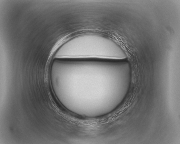 X0000116640004200912140954