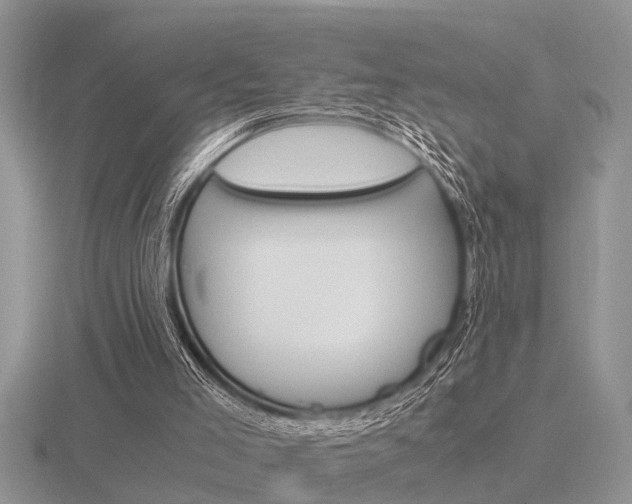 X0000116640005200912140954