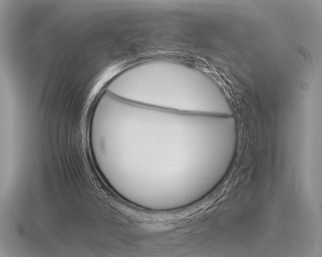 X0000116640006200912140954