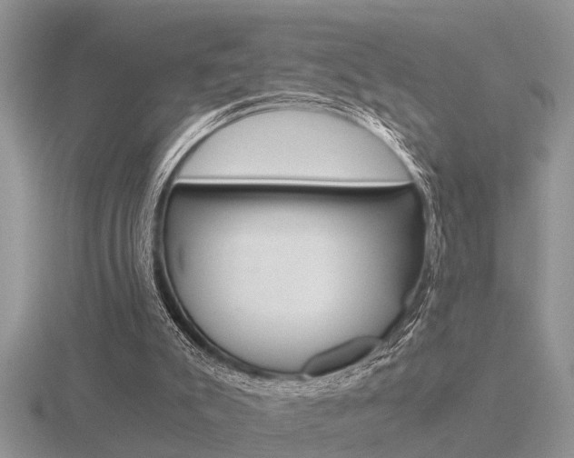 X0000116640007200912140954