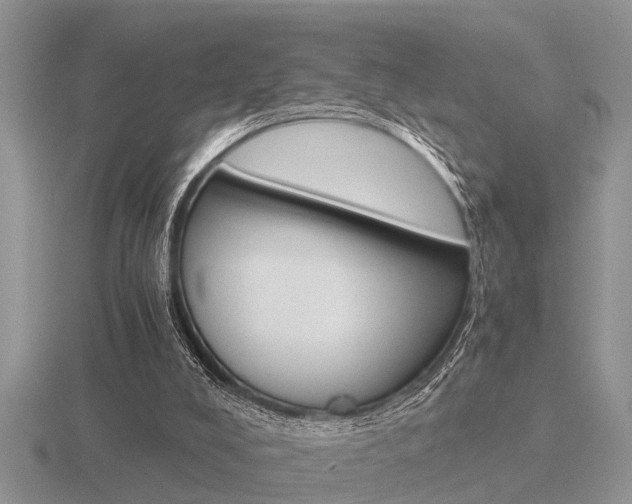 X0000116640008200912140954