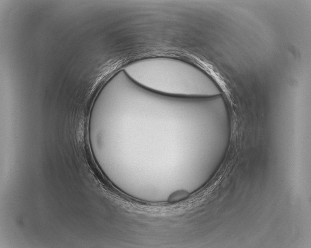 X0000116640010200912140954