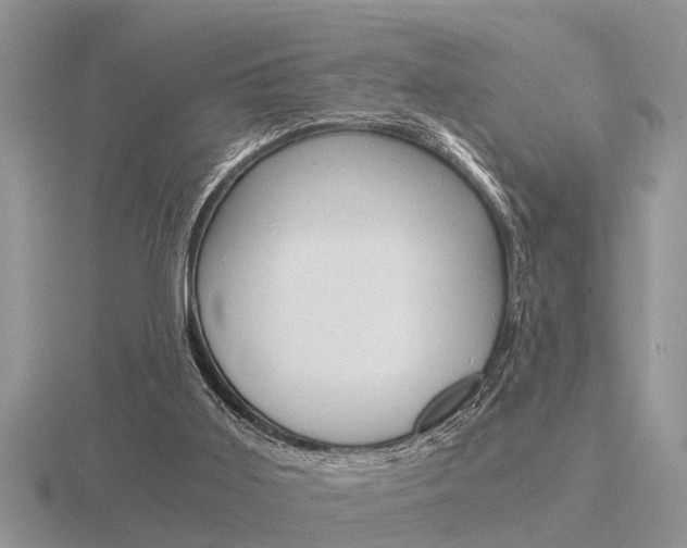 X0000116640011200912140954