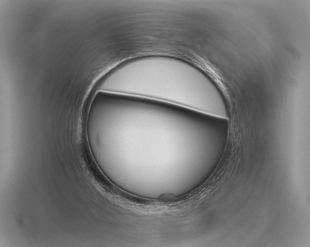 X0000116640012200912140954