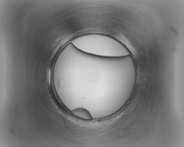 X0000116640014200912140954