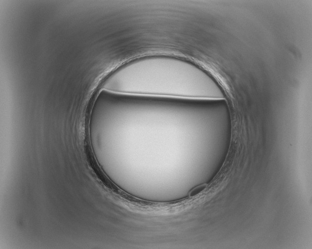 X0000116640015200912140954