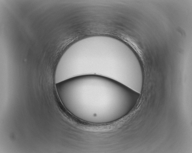 X0000116640017200912140954