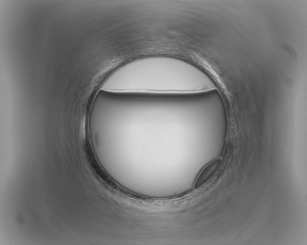 X0000116640019200912140954