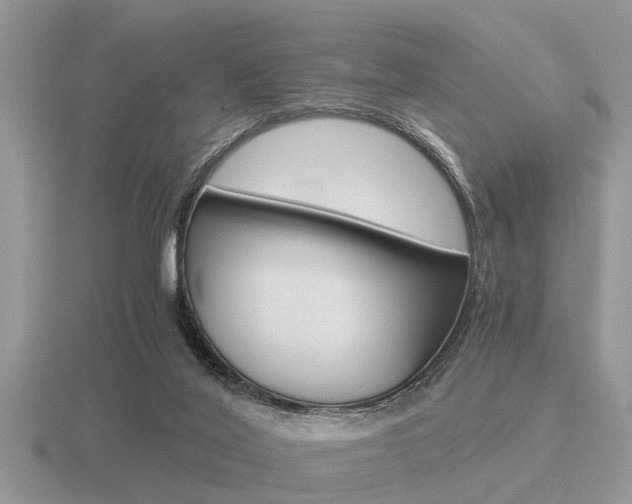 X0000116640020200912140954