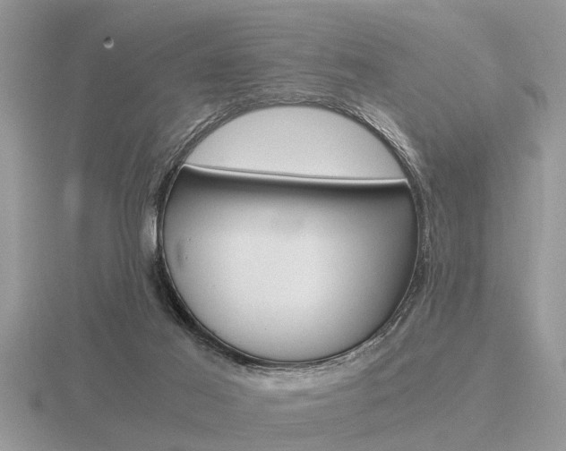 X0000116640021200912140954