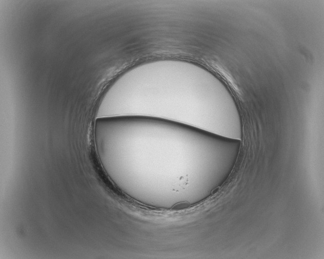 X0000116640023200912140954