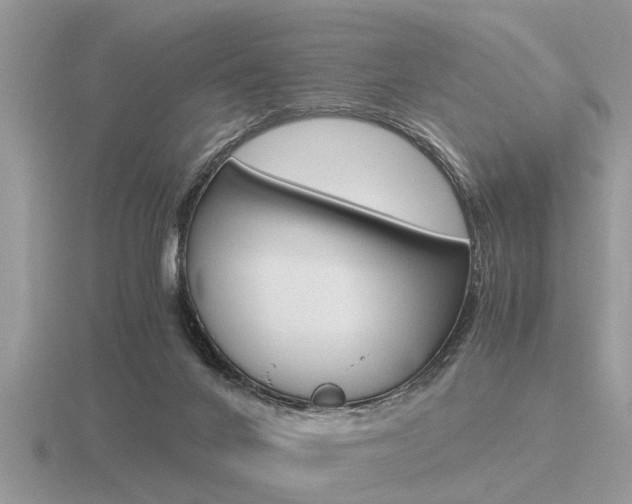 X0000116640024200912140954