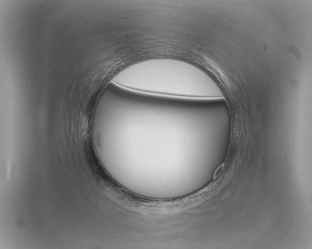 X0000116640025200912140954