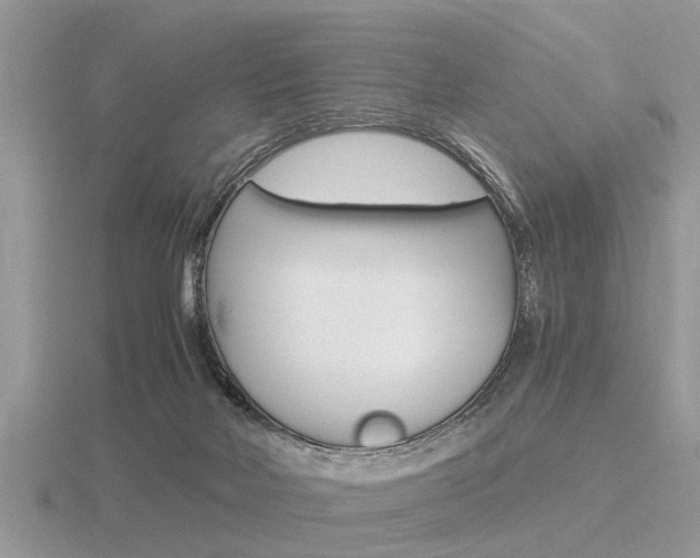 X0000116640026200912140954