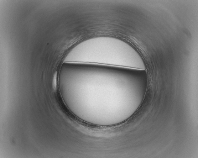 X0000116640028200912140954