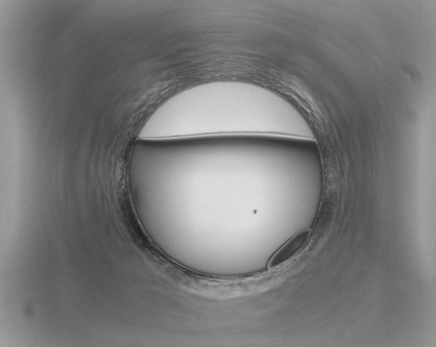 X0000116640029200912140954