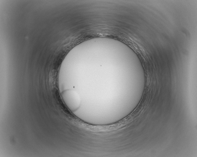 X0000116640030200912140954