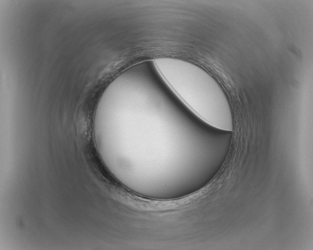 X0000116640031200912140954