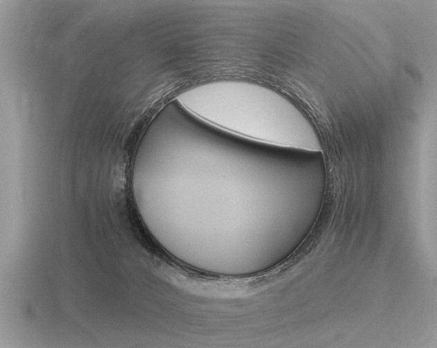 X0000116640032200912140954