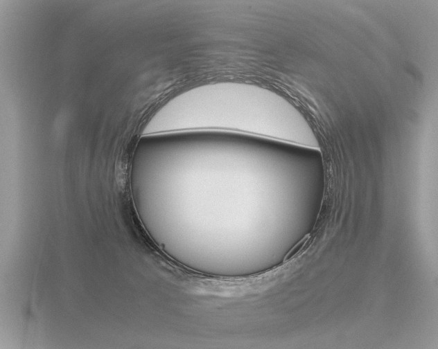 X0000116640033200912140954