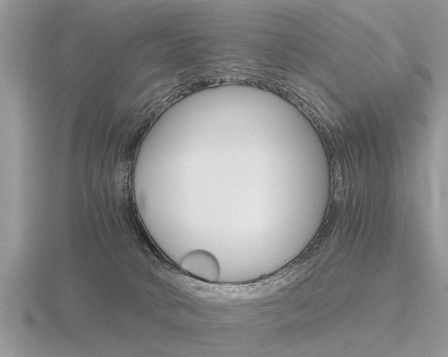 X0000116640034200912140954