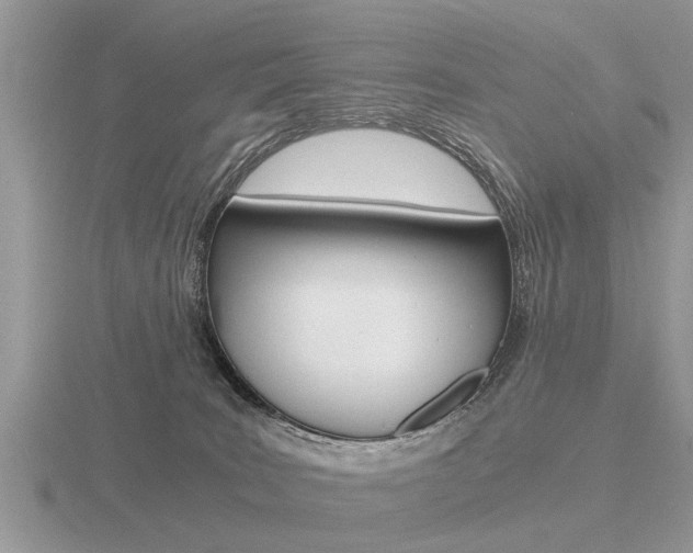 X0000116640035200912140954