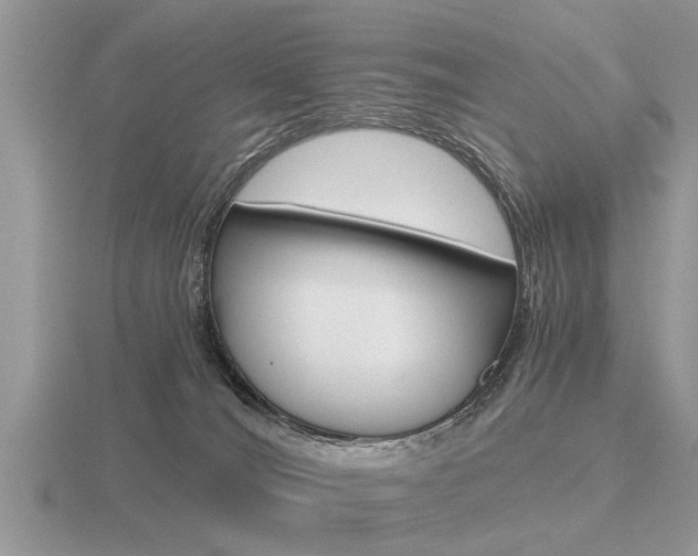 X0000116640036200912140954