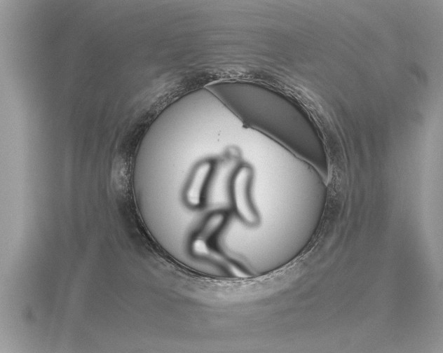 X0000116640037200912140954