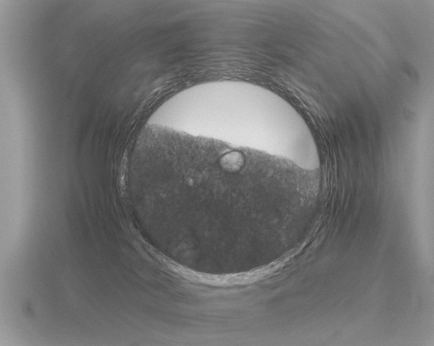 X0000116640038200912140954