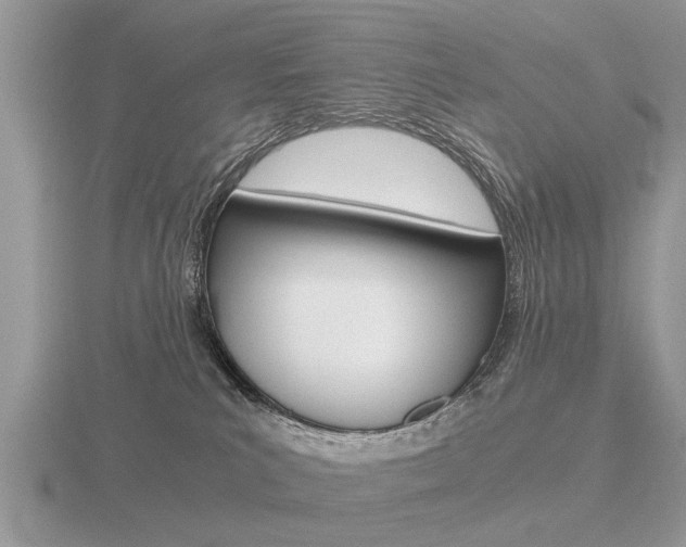 X0000116640039200912140954