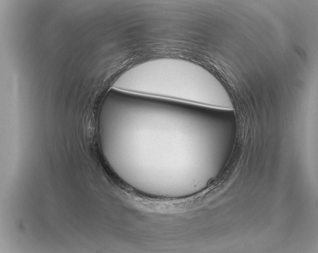 X0000116640040200912140954