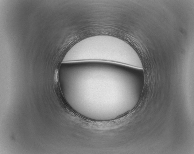 X0000116640041200912140954